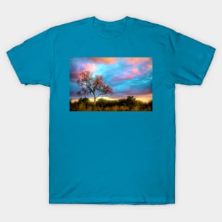 The Painted Sky T-Shirt